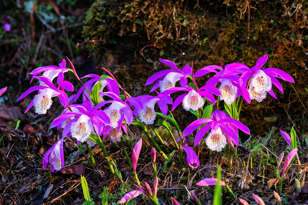 DSC_5926.jpg DSC_5926.jpg