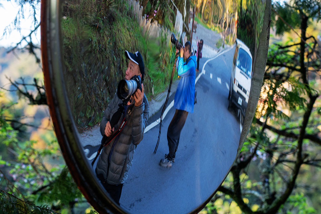 DSC_5929.jpg DSC_5929.jpg