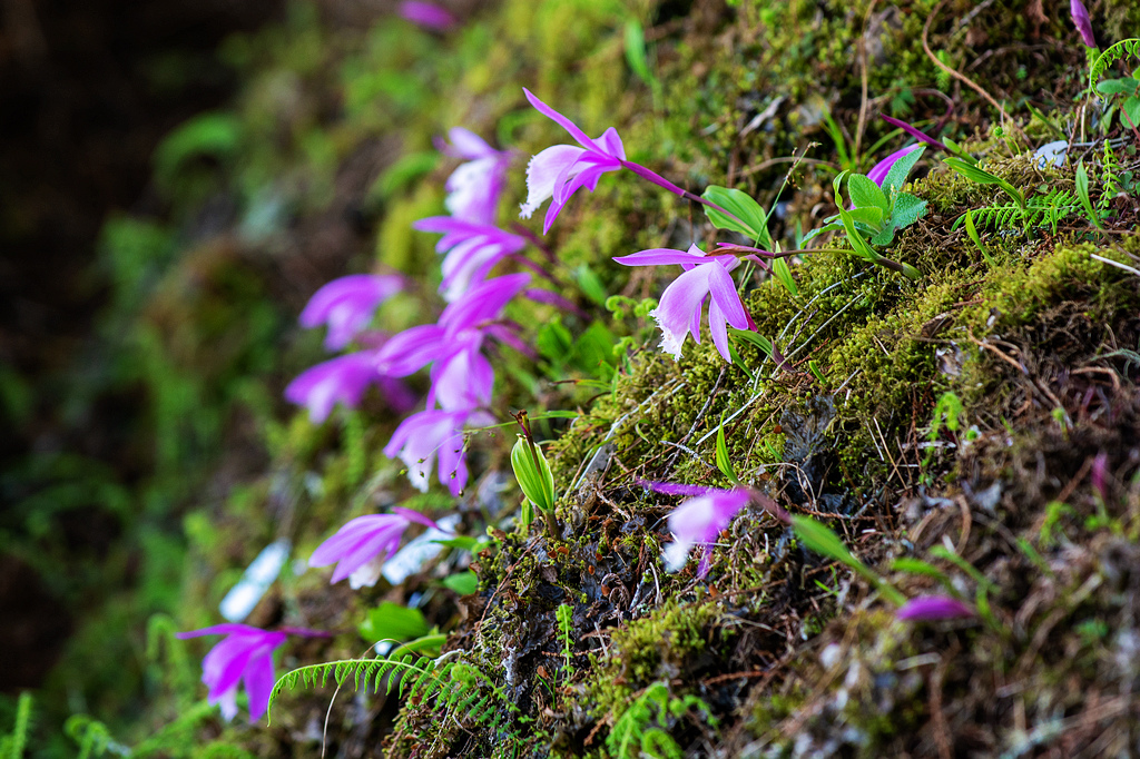 DSC_5937.jpg DSC_5937.jpg