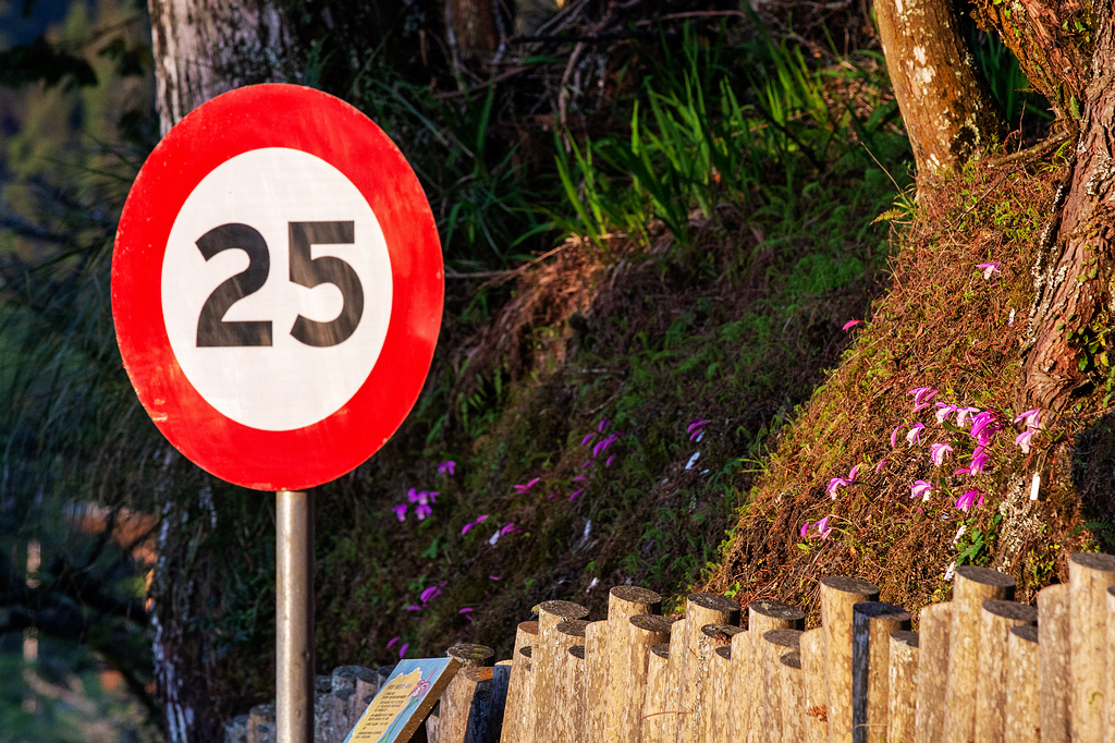 DSC_5934.jpg DSC_5934.jpg