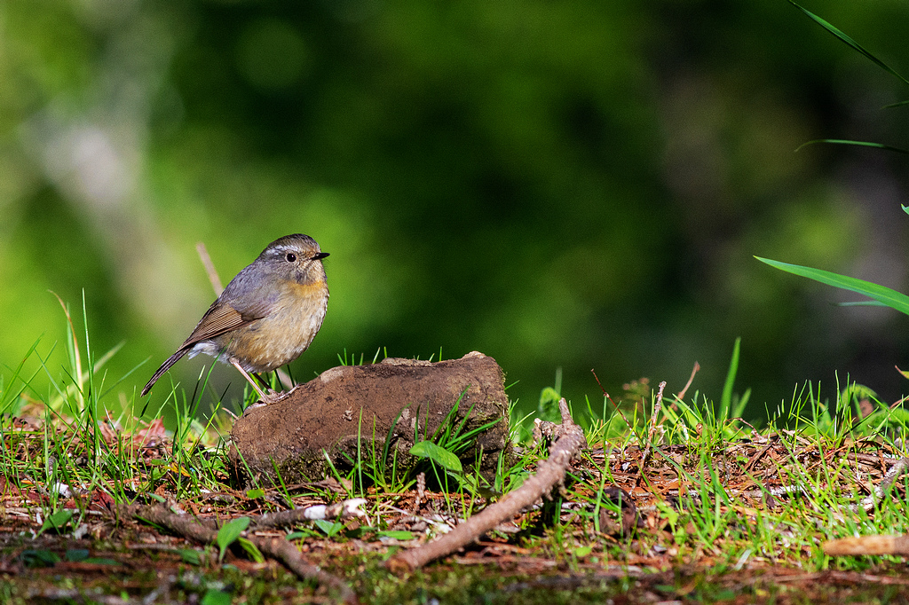 DSC_5947.jpg DSC_5947.jpg