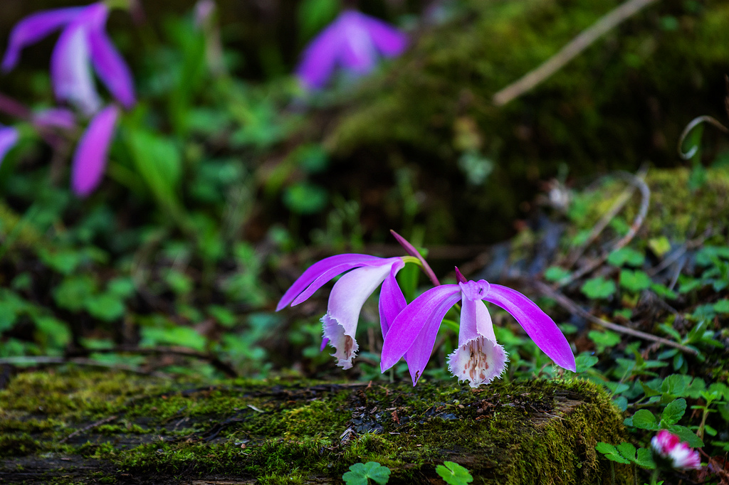 DSC_5984.jpg DSC_5984.jpg