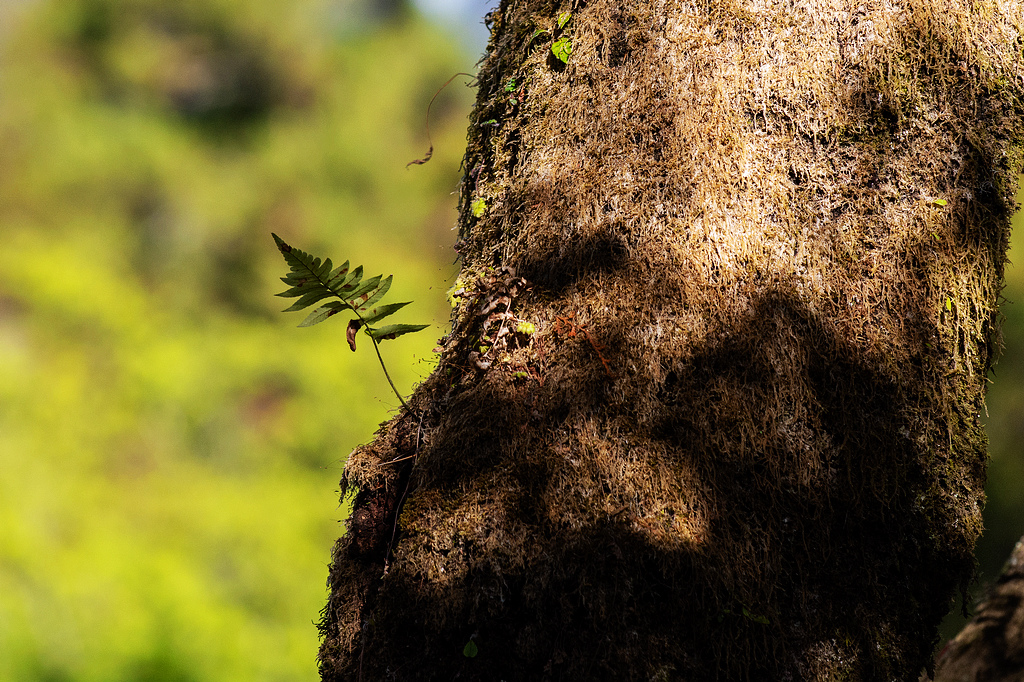 DSC_5971.jpg DSC_5971.jpg