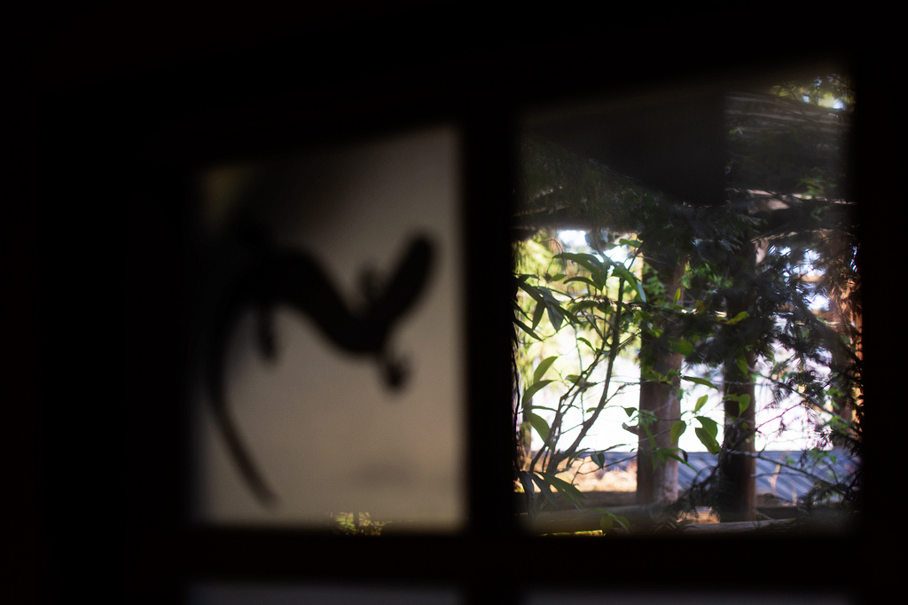 DSC_5987.jpg DSC_5987.jpg