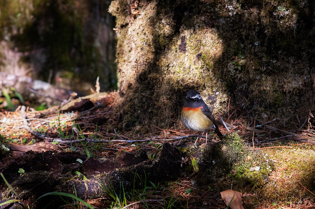 DSC_5956.jpg DSC_5956.jpg