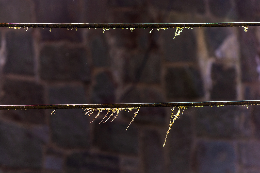 DSC_5975.jpg DSC_5975.jpg