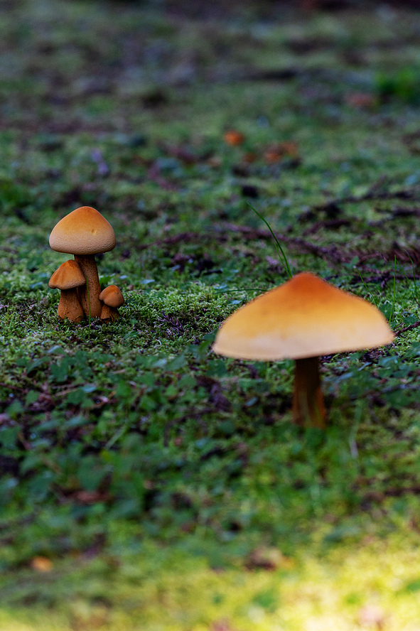 DSC_5999.jpg DSC_5999.jpg