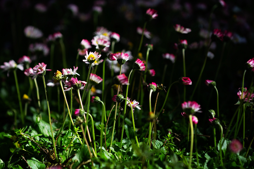 DSC_6002.jpg DSC_6002.jpg