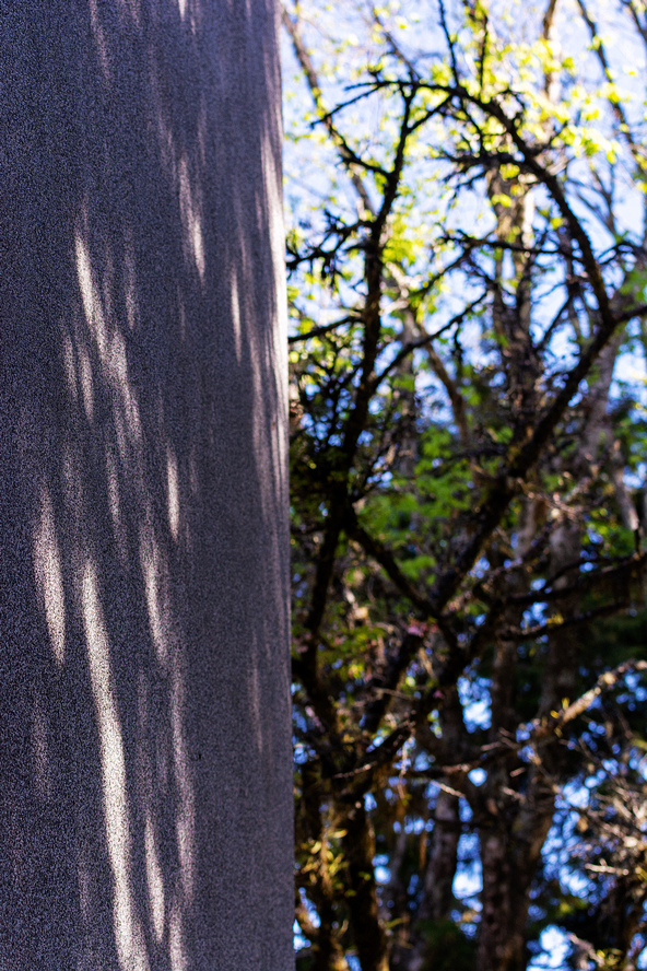 DSC_6005.jpg DSC_6005.jpg