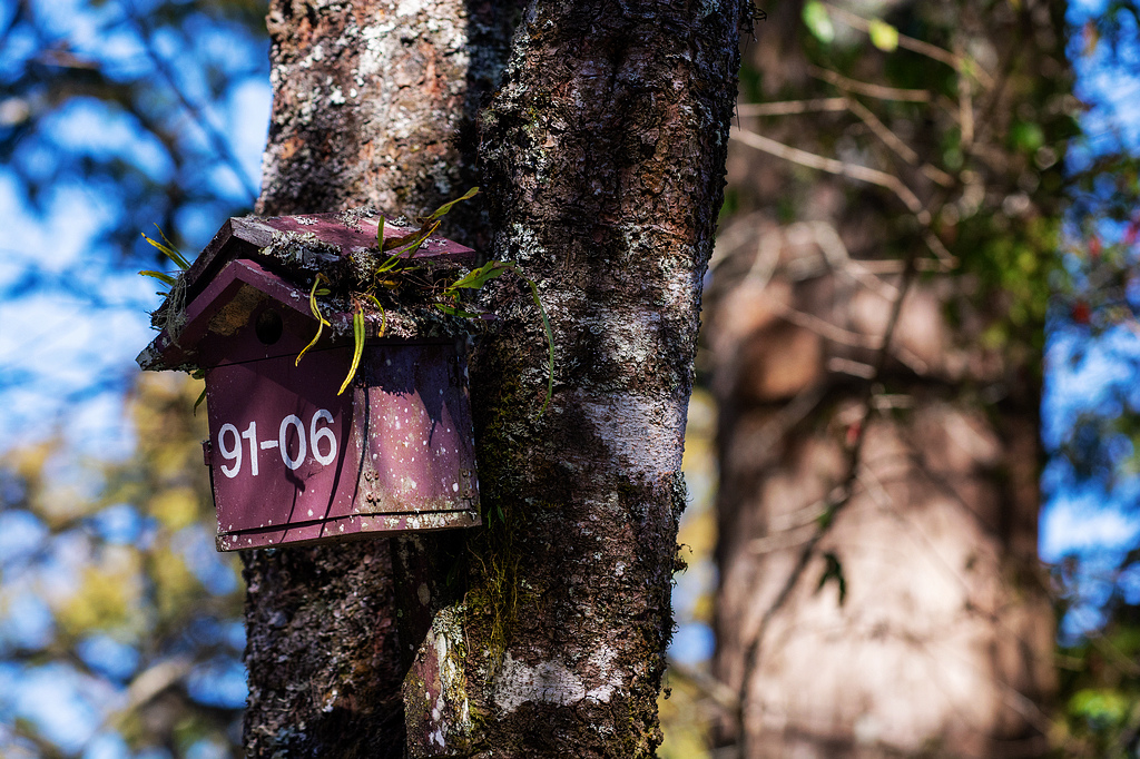 DSC_6007.jpg DSC_6007.jpg