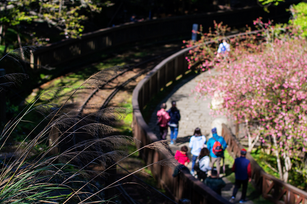 DSC_6022.jpg DSC_6022.jpg