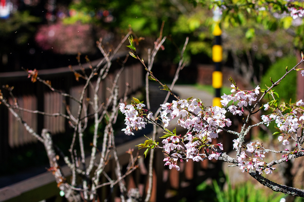 DSC_6016.jpg DSC_6016.jpg