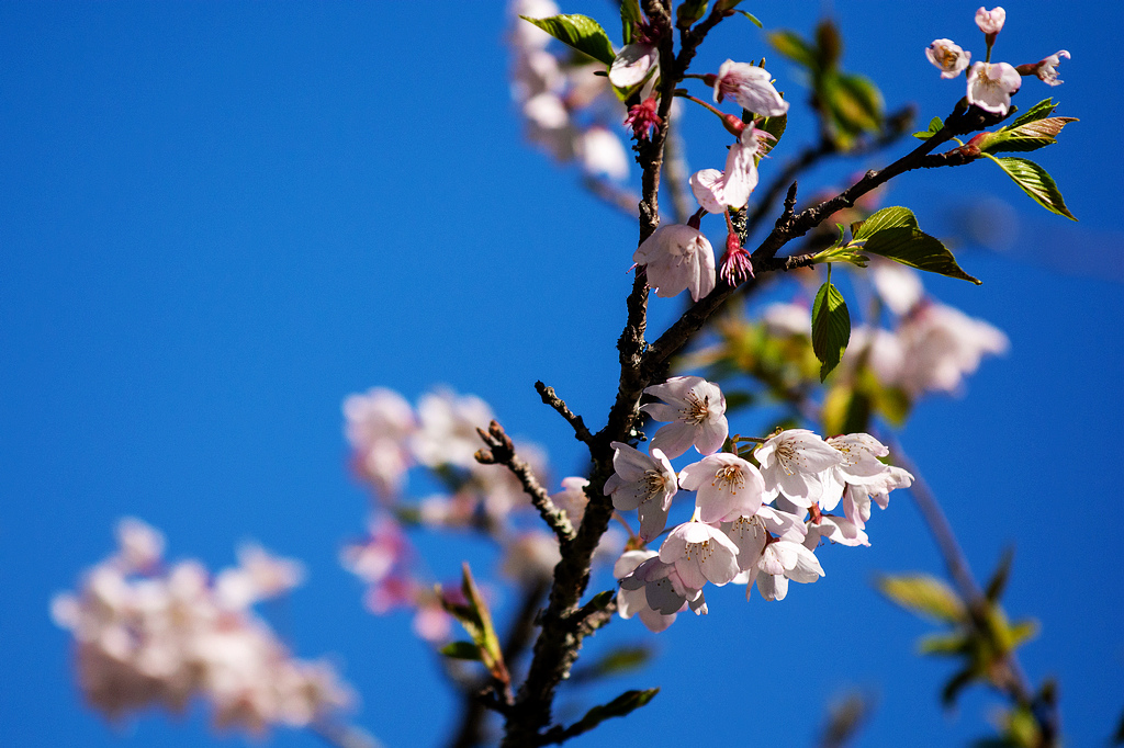 DSC_6018.jpg DSC_6018.jpg