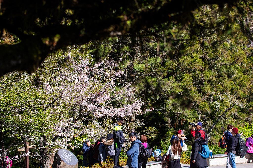 DSC_6015.jpg DSC_6015.jpg