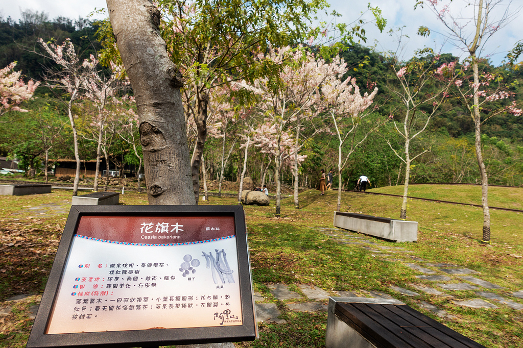 DSC04619.jpg DSC04619.jpg