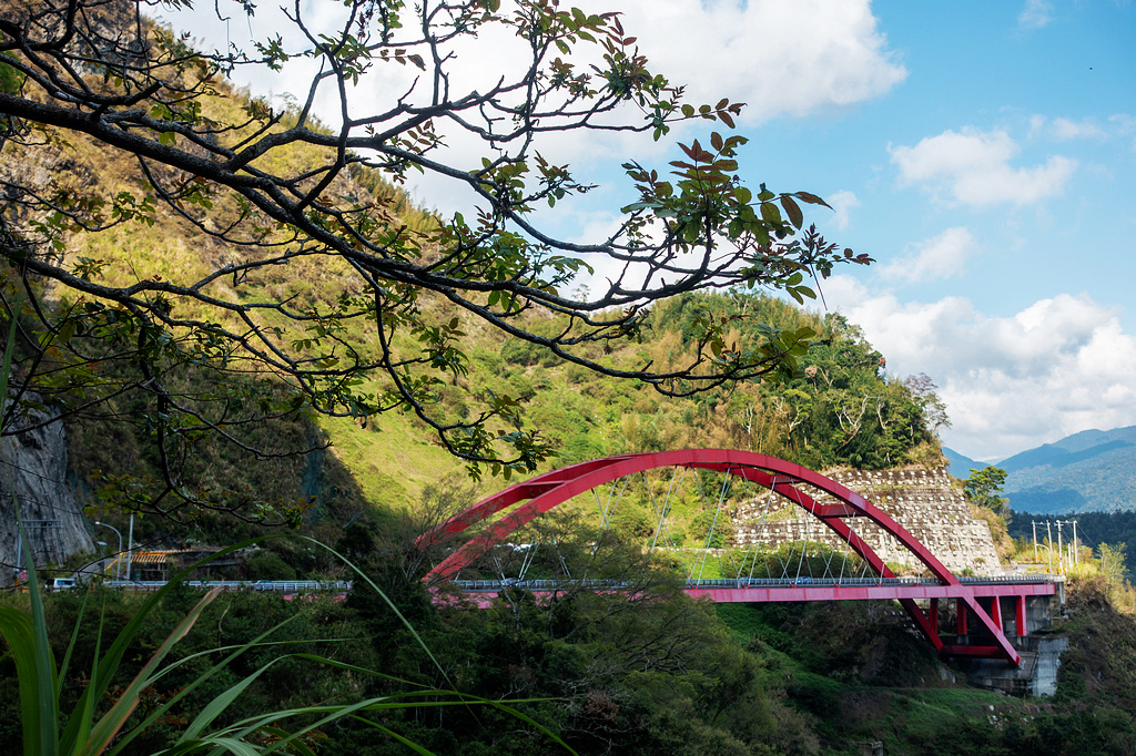 DSC04645.jpg DSC04645.jpg