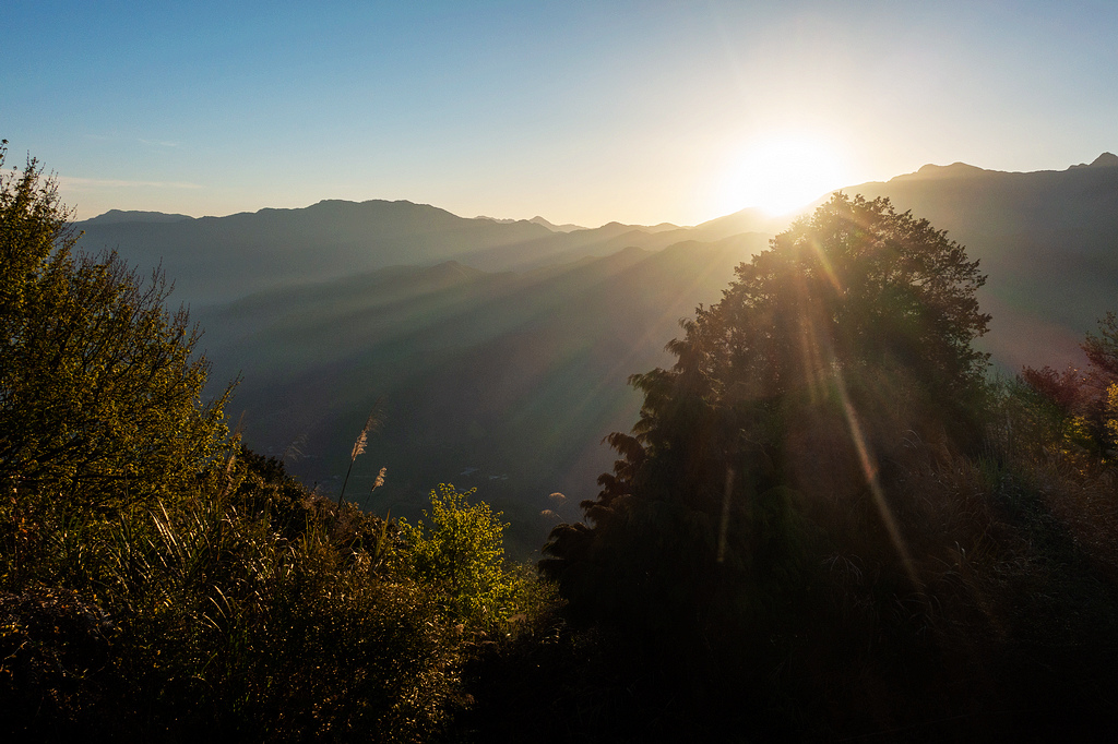 DSC04700.jpg DSC04700.jpg