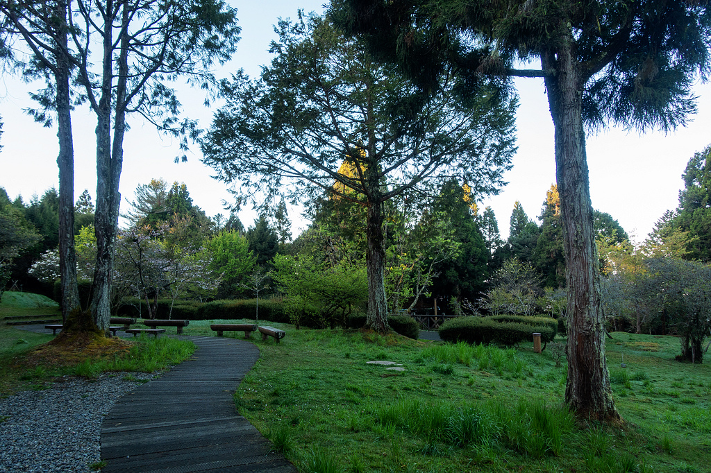 DSC04704.jpg DSC04704.jpg