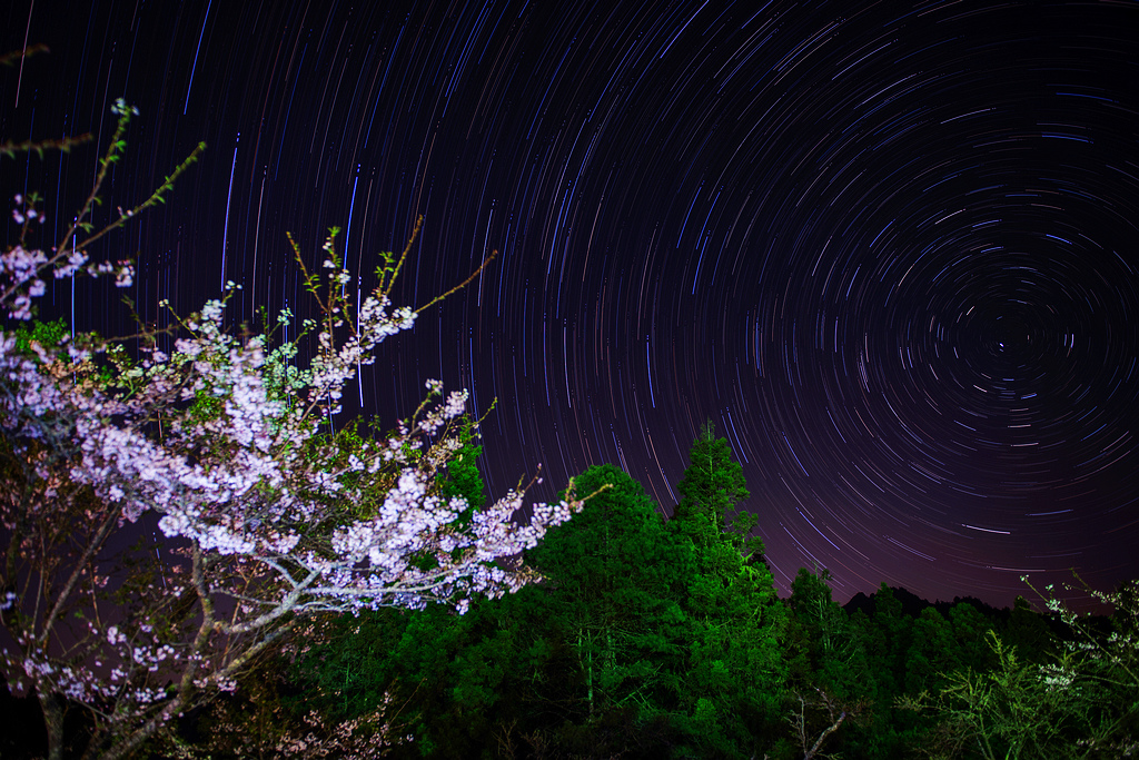 Startrails.jpg Startrails.jpg
