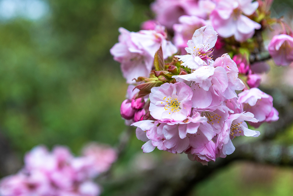 _DSC6651.jpg _DSC6651.jpg