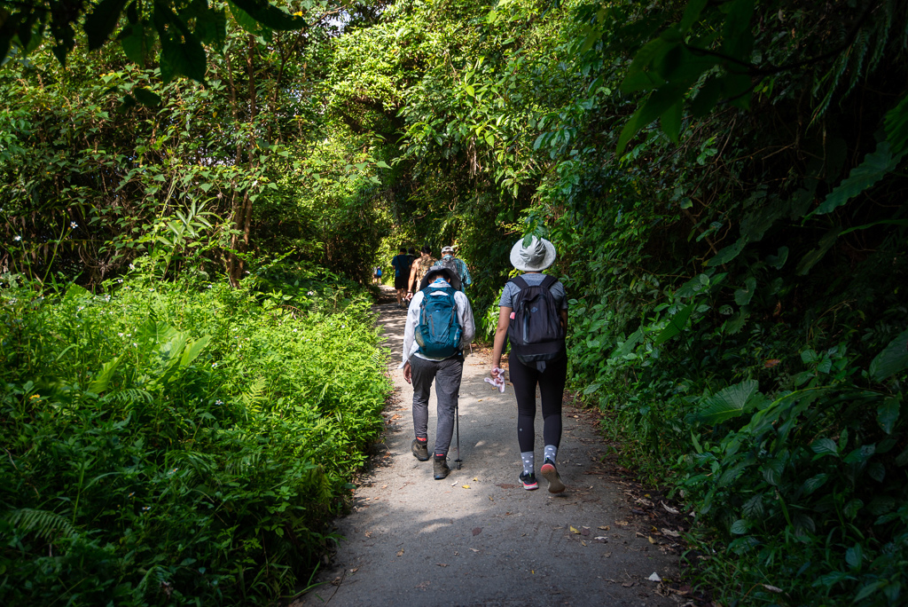 _DSC8376.JPG _DSC8376.JPG