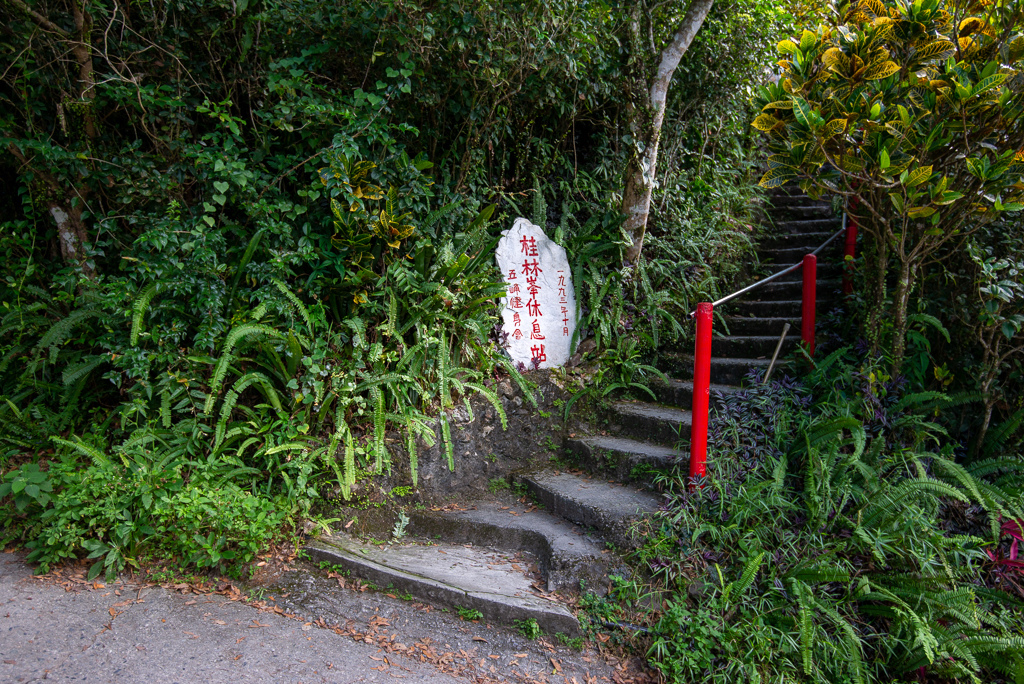 _DSC8378.JPG _DSC8378.JPG