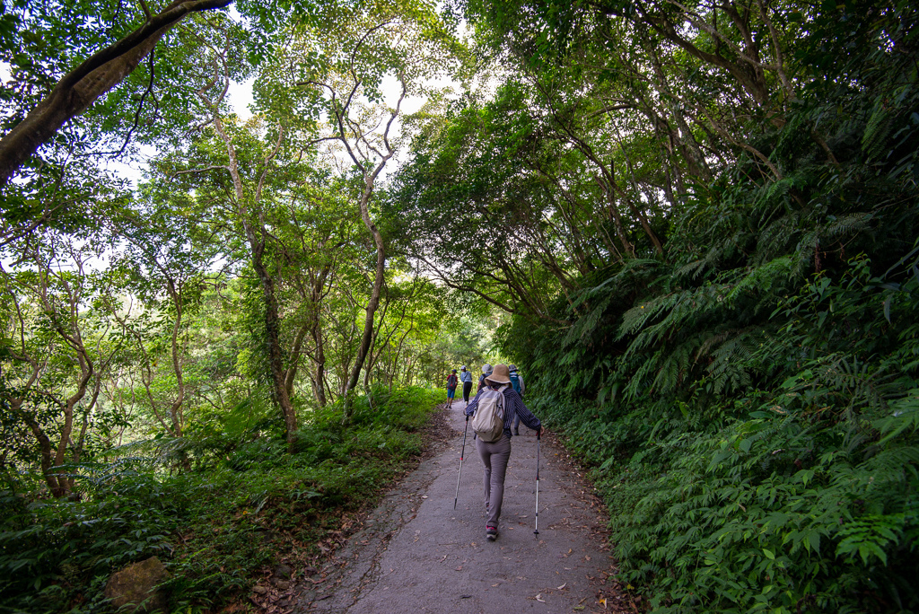 _DSC8381.JPG _DSC8381.JPG