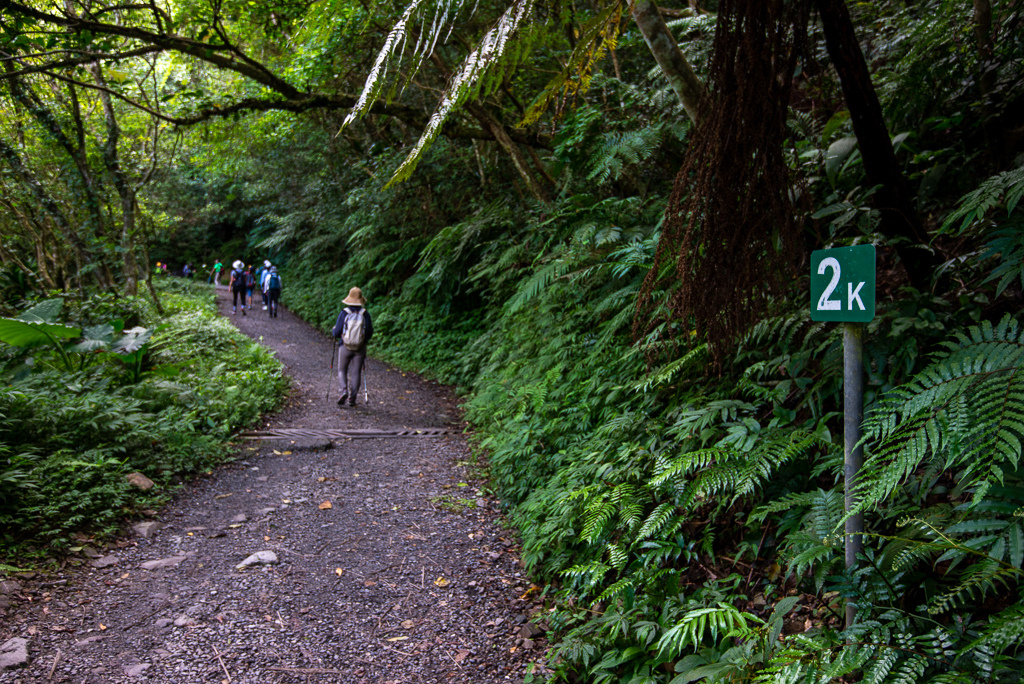 _DSC8383.JPG _DSC8383.JPG