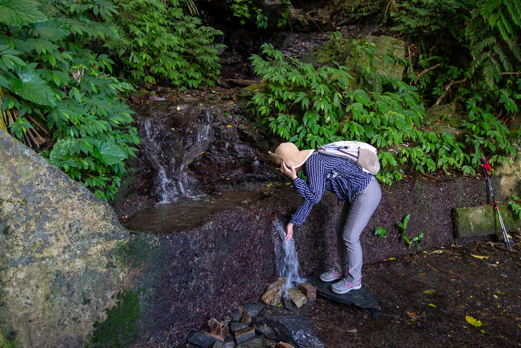 _DSC8387.JPG _DSC8387.JPG