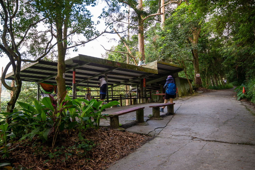 _DSC8389.JPG _DSC8389.JPG