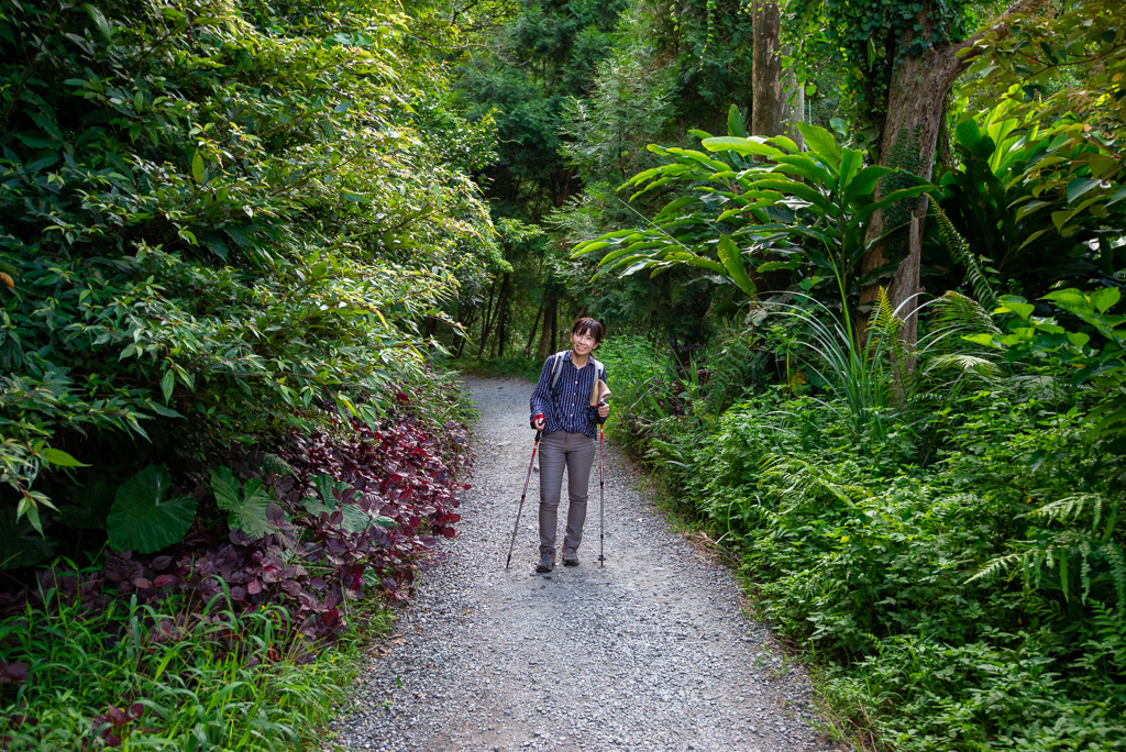 _DSC8391-編輯.JPG _DSC8391-編輯.JPG