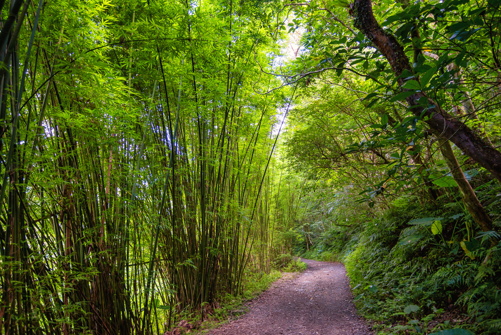 _DSC8392-編輯.JPG _DSC8392-編輯.JPG