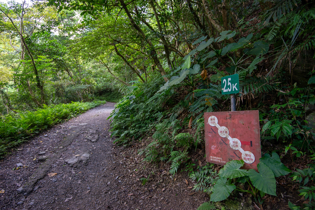 _DSC8393.JPG _DSC8393.JPG