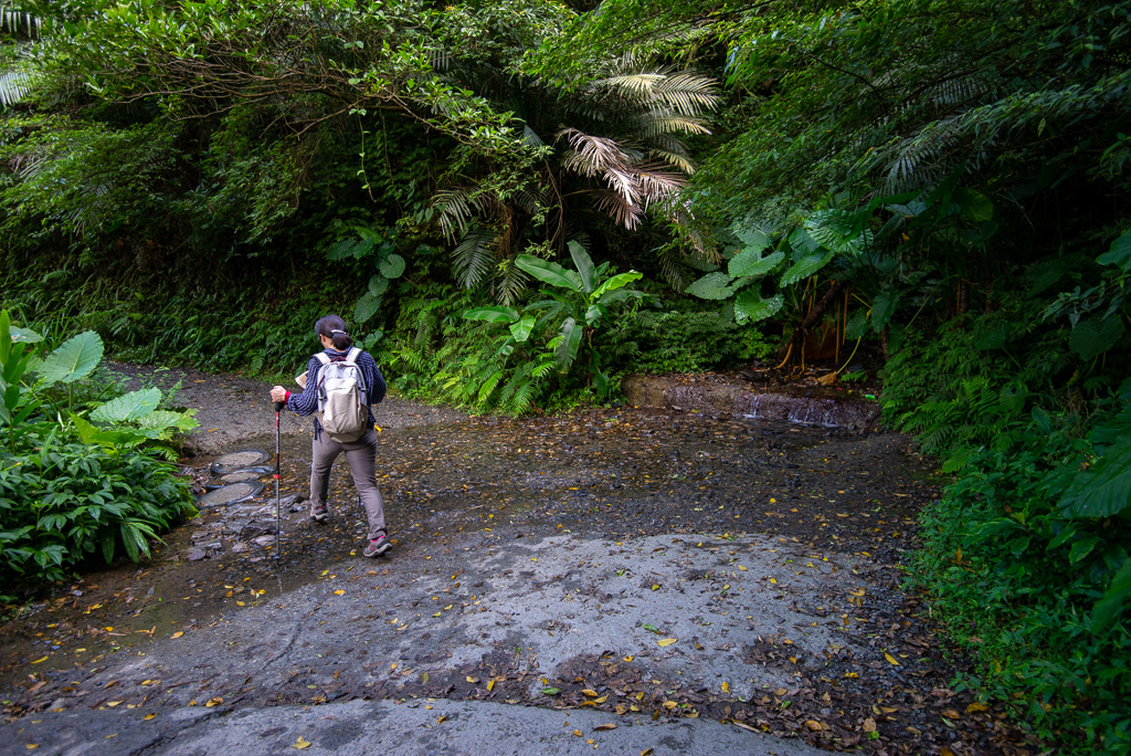 _DSC8394.JPG _DSC8394.JPG