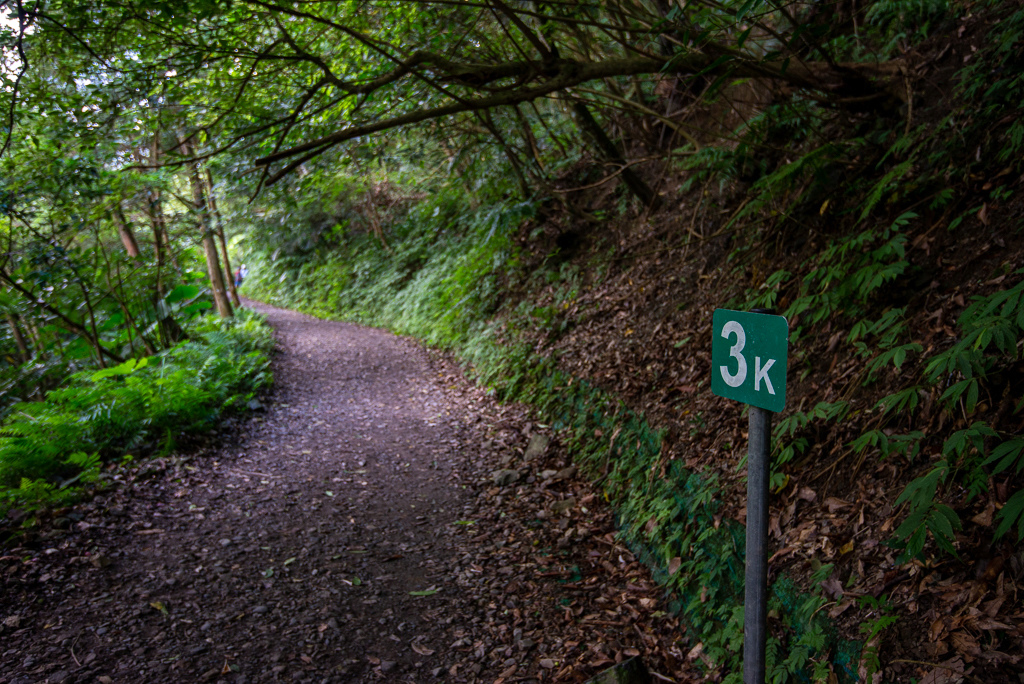 _DSC8398.JPG _DSC8398.JPG