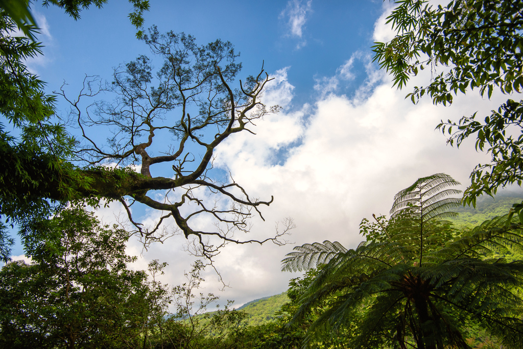 _DSC8399-編輯.JPG _DSC8399-編輯.JPG