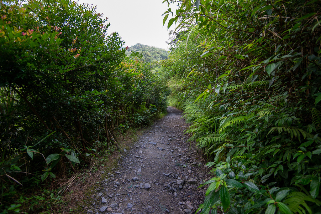 _DSC8400.JPG _DSC8400.JPG