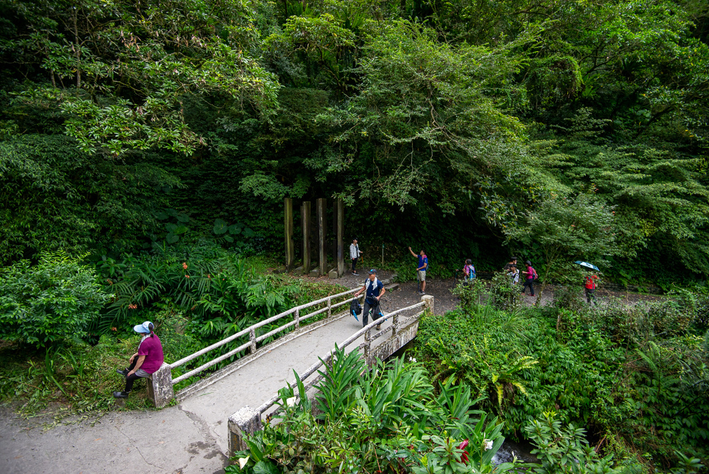 _DSC8410.JPG _DSC8410.JPG