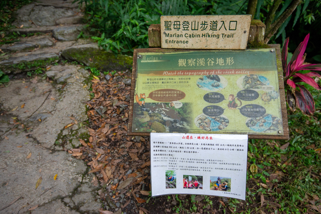 _DSC8415.JPG _DSC8415.JPG