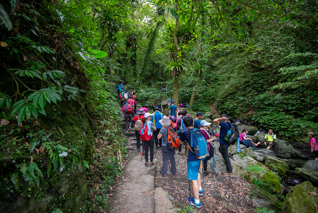 _DSC8417.JPG _DSC8417.JPG