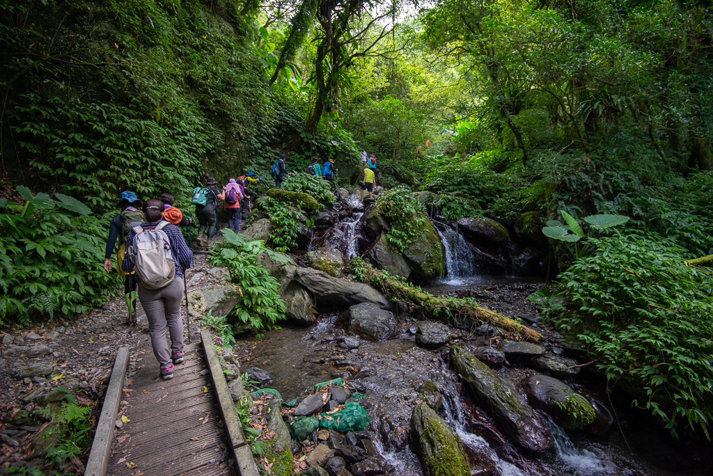 _DSC8419.JPG _DSC8419.JPG