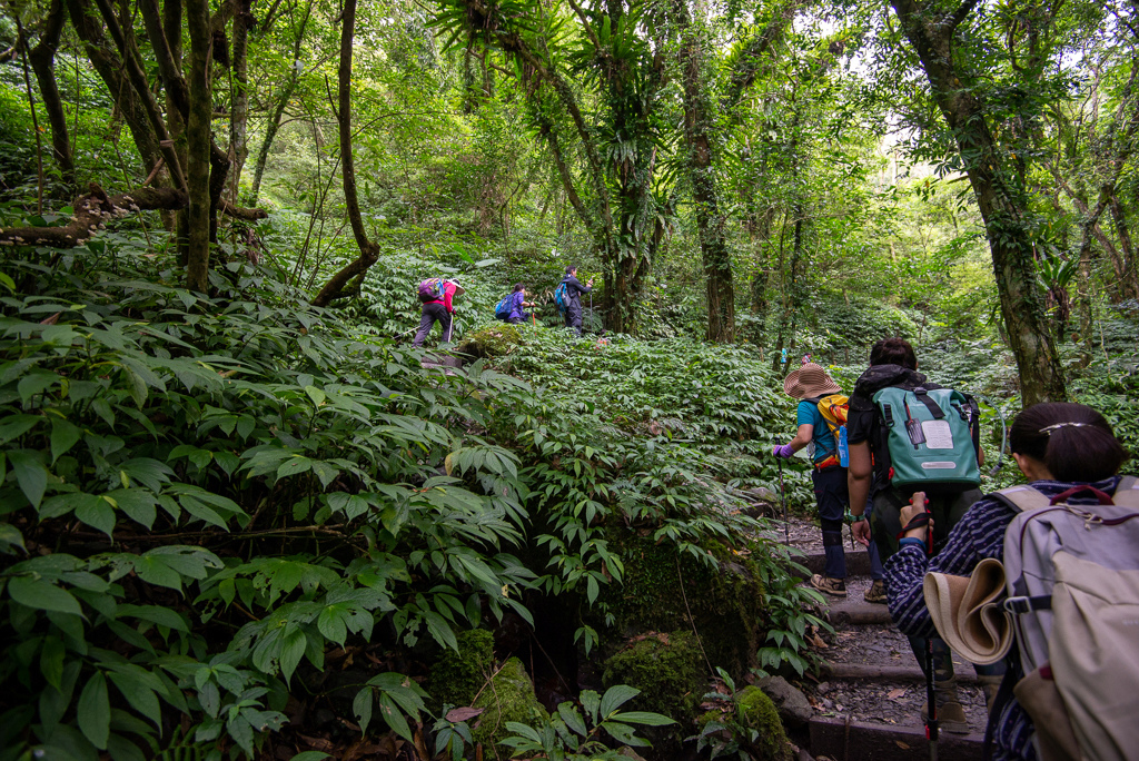 _DSC8420.JPG _DSC8420.JPG