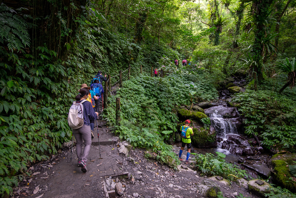 _DSC8421.JPG _DSC8421.JPG