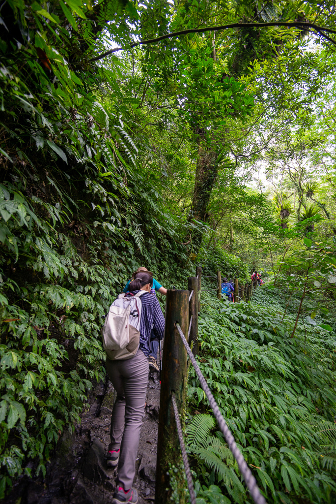 _DSC8422.JPG _DSC8422.JPG