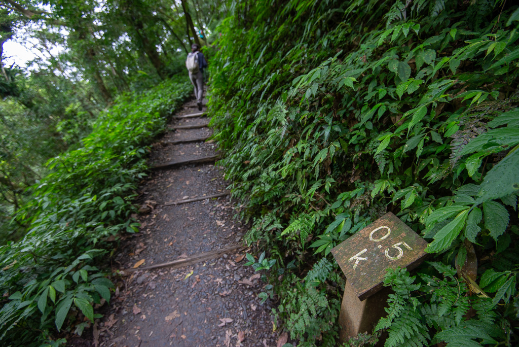 _DSC8424.JPG _DSC8424.JPG