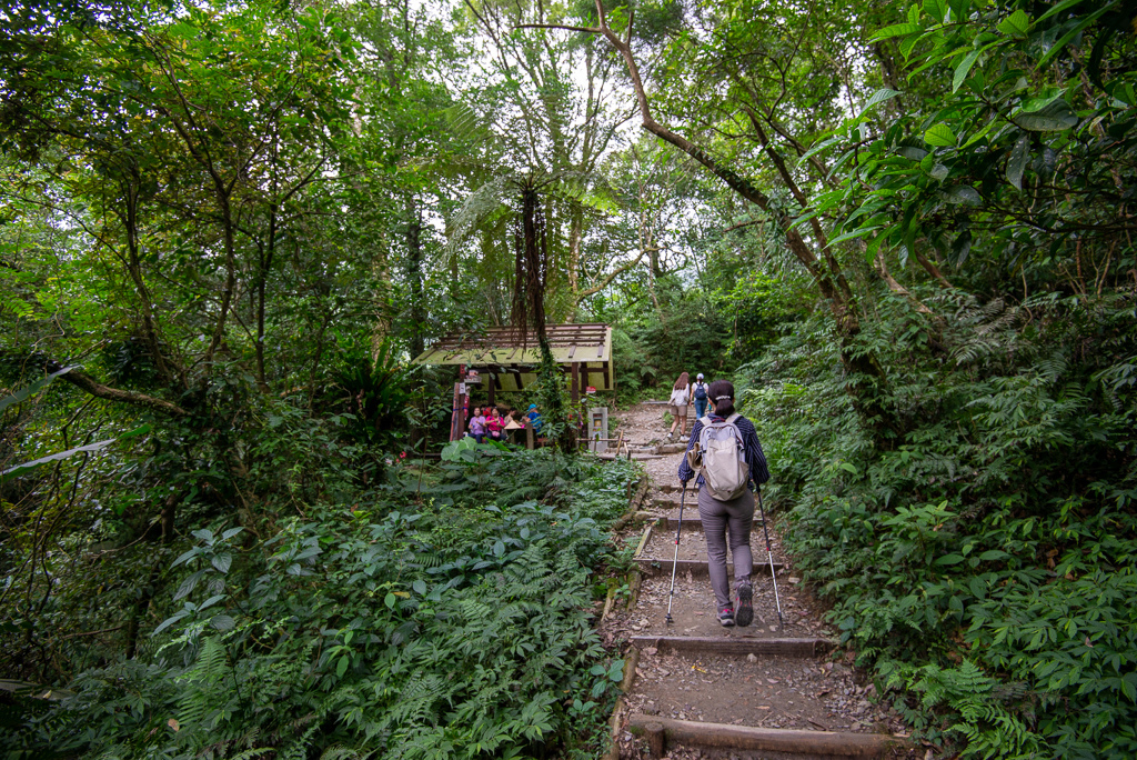 _DSC8425.JPG _DSC8425.JPG