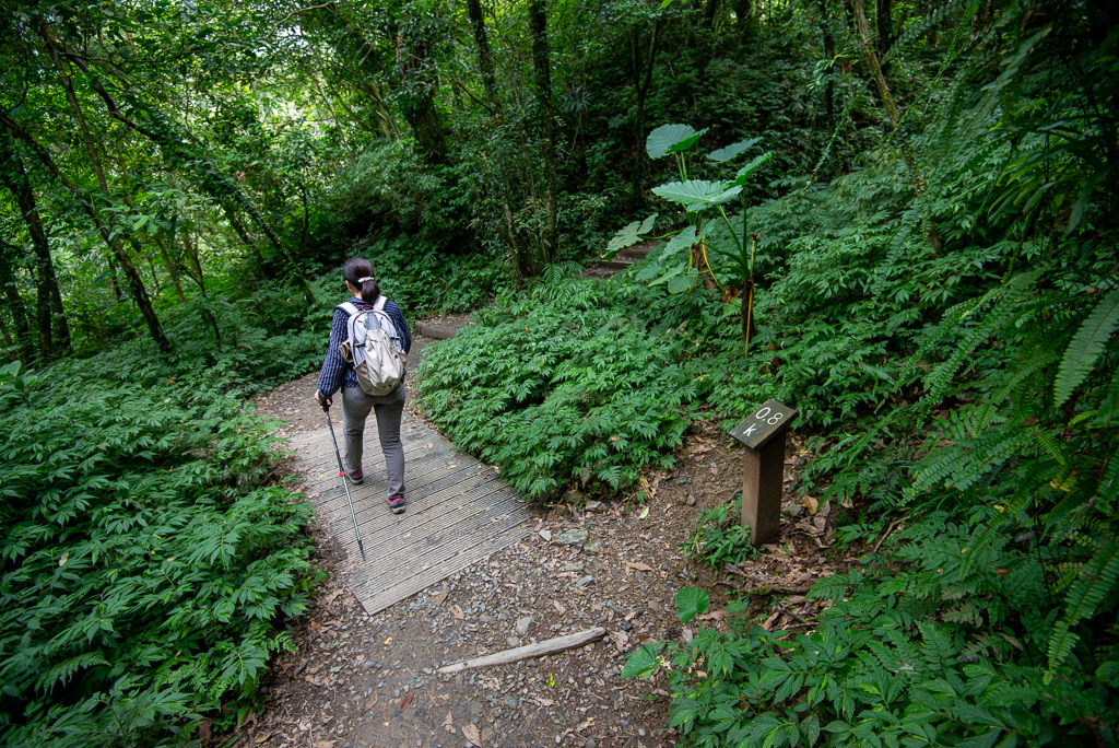 _DSC8426.JPG _DSC8426.JPG