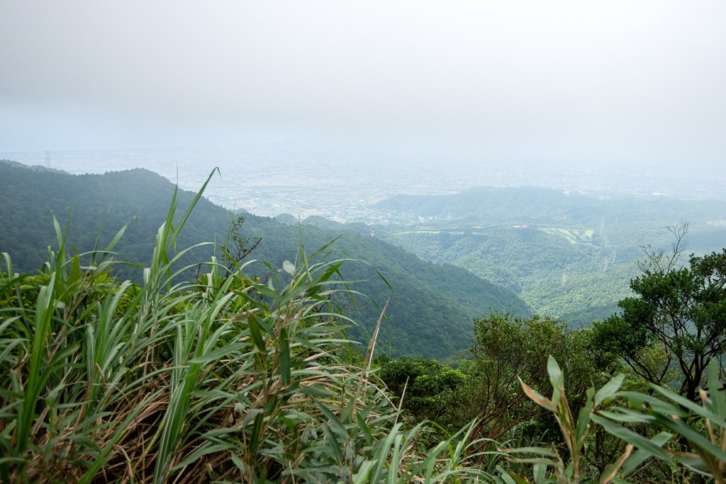 _DSC8427.JPG _DSC8427.JPG