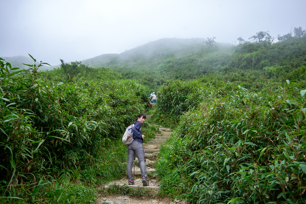 _DSC8431-編輯.JPG _DSC8431-編輯.JPG