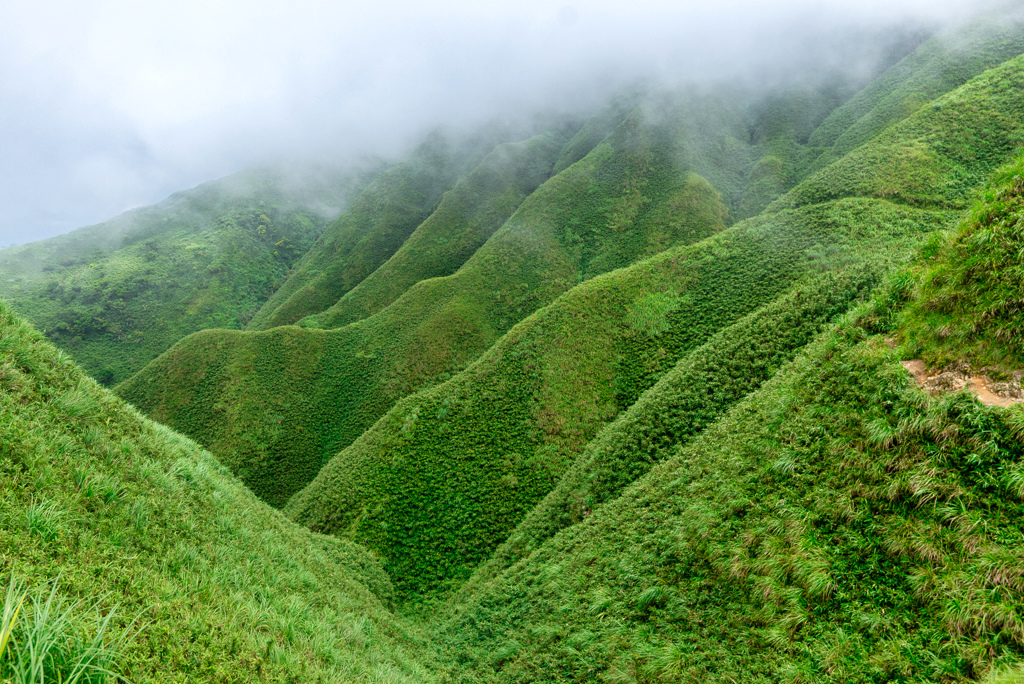 _DSC8434-編輯.JPG _DSC8434-編輯.JPG